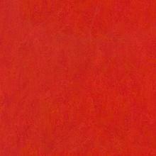 Линолеум Marmoleum Real 3131 Forbo