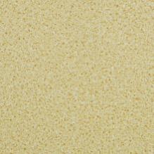 Линолеум LG Trendy Speckle TD12404